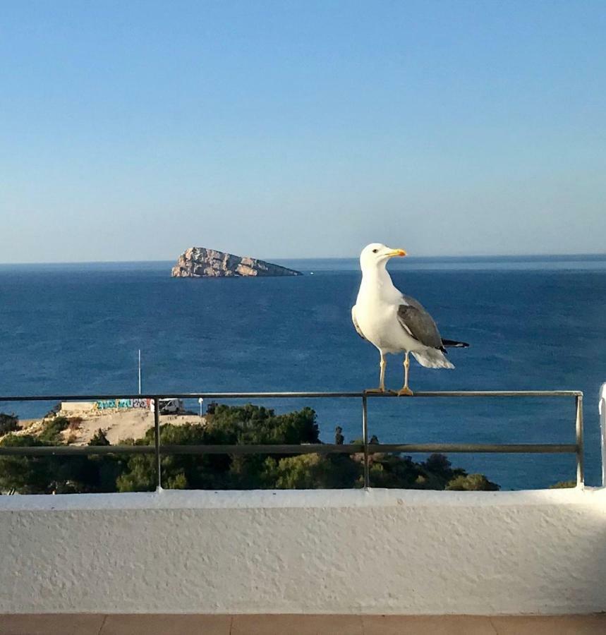 Duplex Villamarina Benidorm Eksteriør bilde